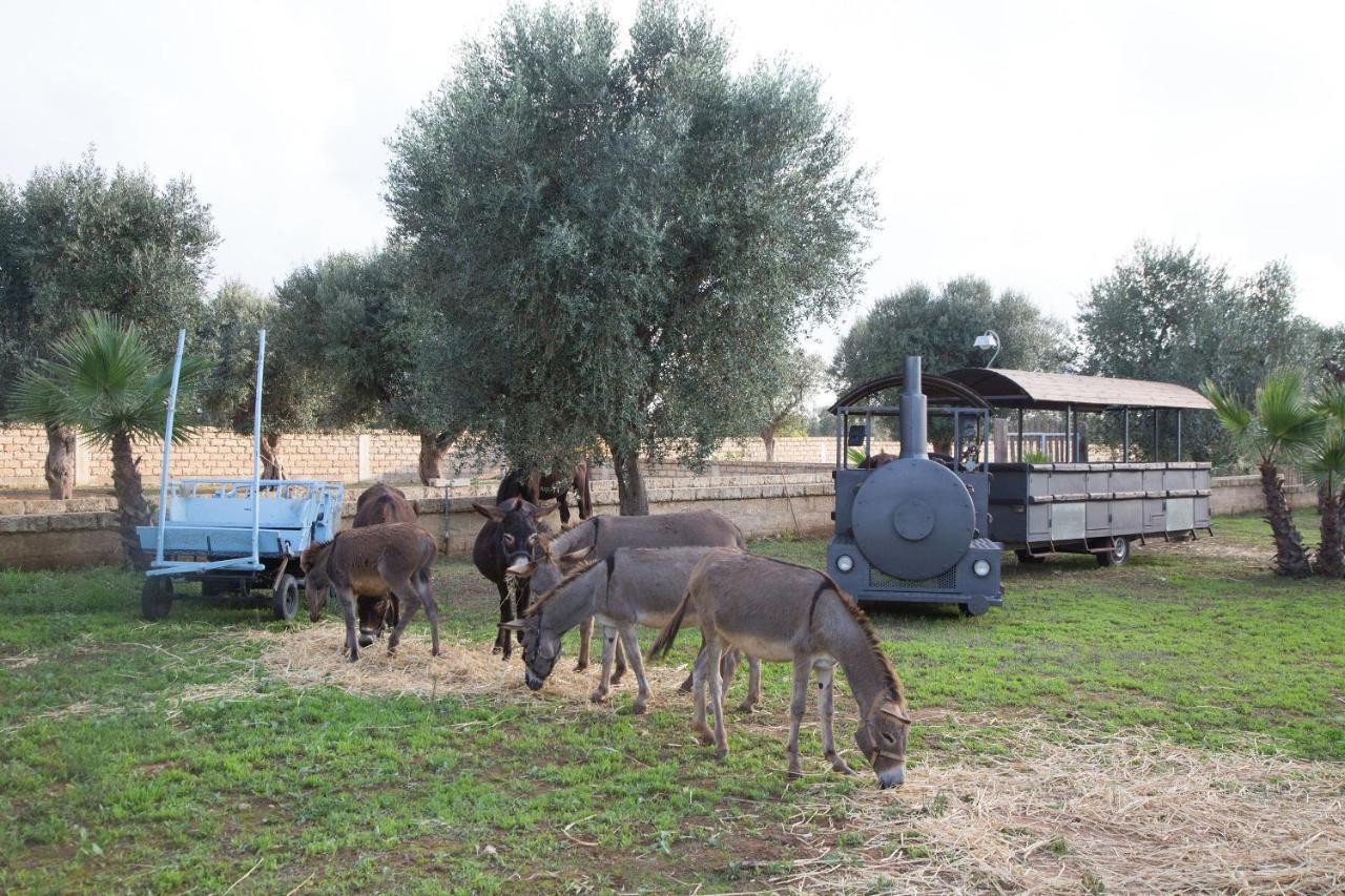 Masseria Grande Taurisano Exterior foto